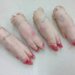 Fresh Pork Hind Feet